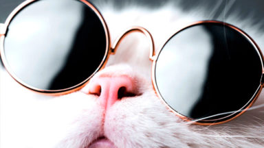 オウンドメディアって、なんだっけ？